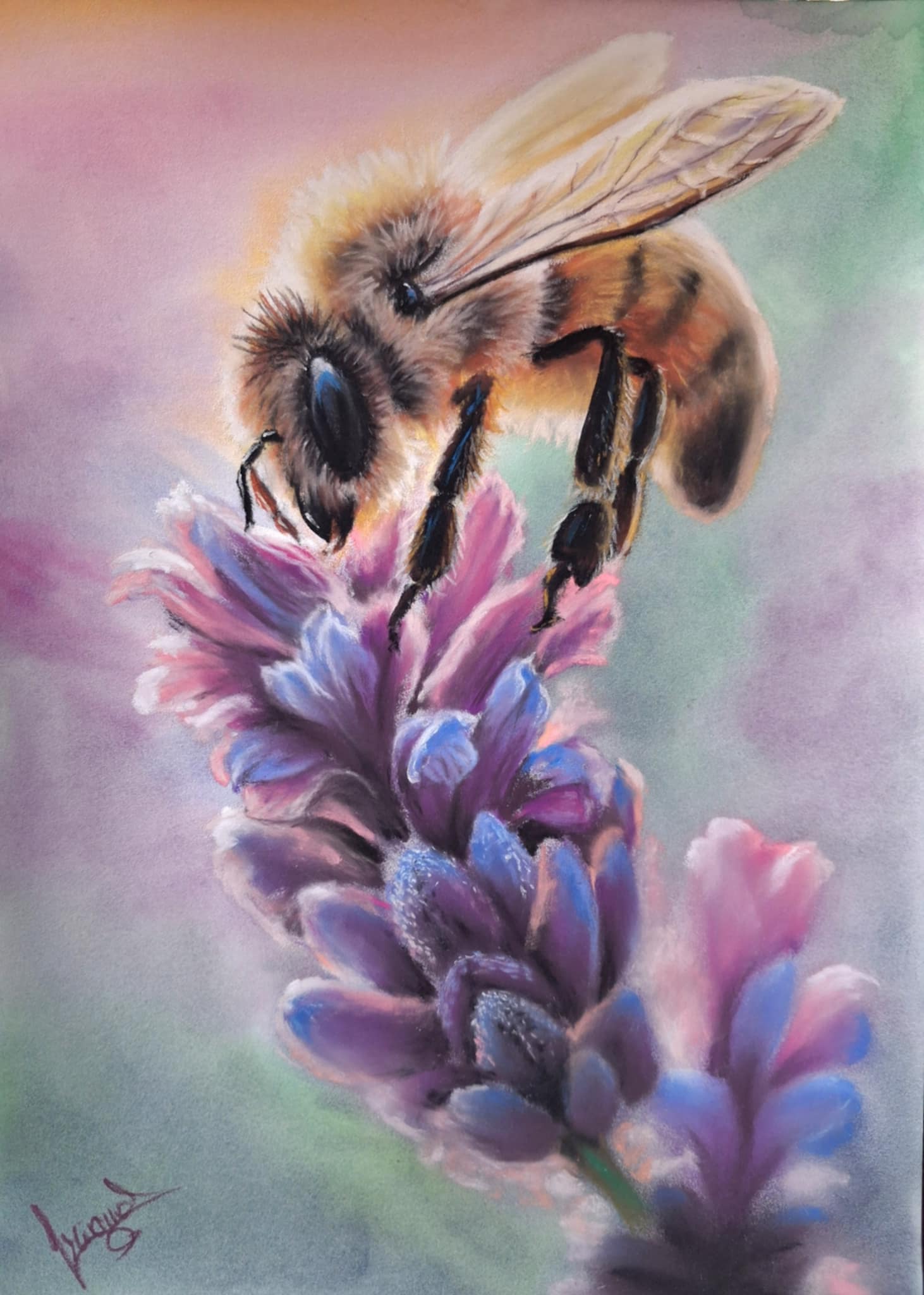 L'abeille qui butine